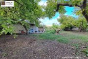 Armeni Kreta, Armeni, Advocado Farm 17.000m² mit Cottage 55m² Wfl. Gewerbe kaufen